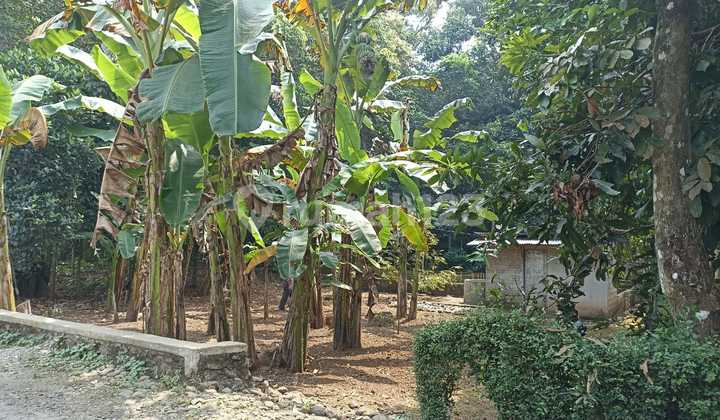 Tanah Kosong Perkampungan Pajerukan Kalibagor Dekat Pasar Sokaraja Banyumas Tanah Kosong Perkampungan Pajerukan Kalibagor Dekat Pasar Sokaraja Banyumas