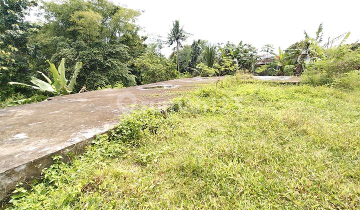 Tanah Kosong Asri Kembaran Dekat Kampus Ump, Rs Jih Purwokerto Tanah Kosong Asri Kembaran Dekat Kampus Ump, Rs Jih Purwokerto