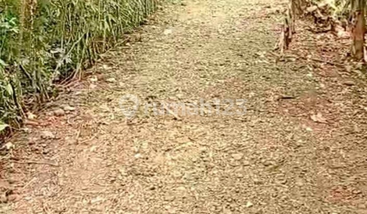 Tanah Kosong Wirasana Dekat Rs Goeteng Purbalingga