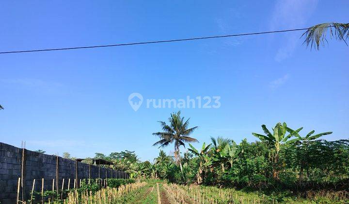 Tanah Kosong Asri Silado Sumbang Banyumas 1