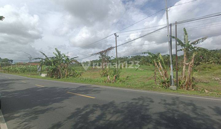 Tanah kosong 4,5 ha untuk pabrik, gudang Jeruklegi Cilacap 1