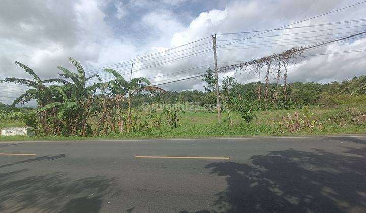 Tanah kosong 4,5 ha untuk pabrik, gudang Jeruklegi Cilacap 2