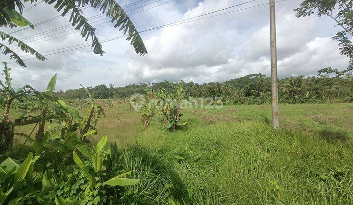 Tanah kosong 4,5 ha untuk pabrik, gudang Jeruklegi Cilacap 4