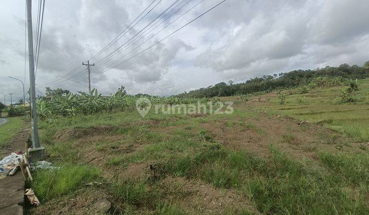 Tanah kosong 4,5 ha untuk pabrik, gudang Jeruklegi Cilacap 7