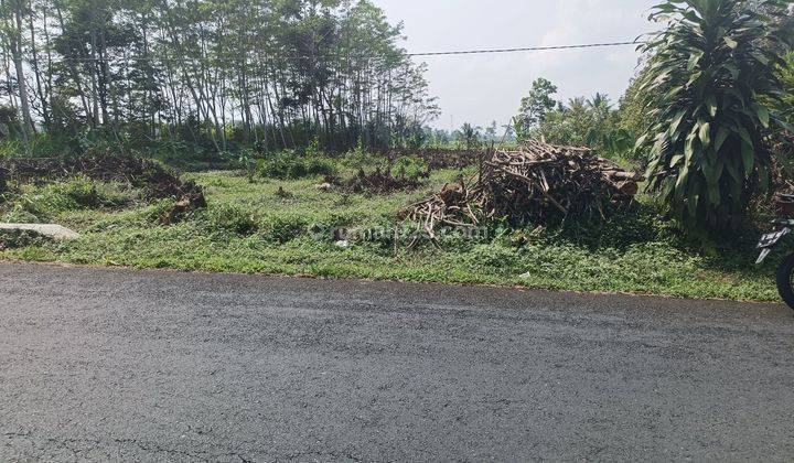 Tanah kosong p murah pinggir jln Sumbang Purwokerto Banyumas  1