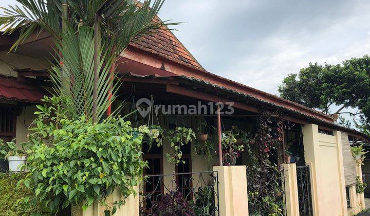 Rumah joglo Karanggintung dekat kampus Unsoed, wisata Baturaden, kopi keprok Purwokerto 1