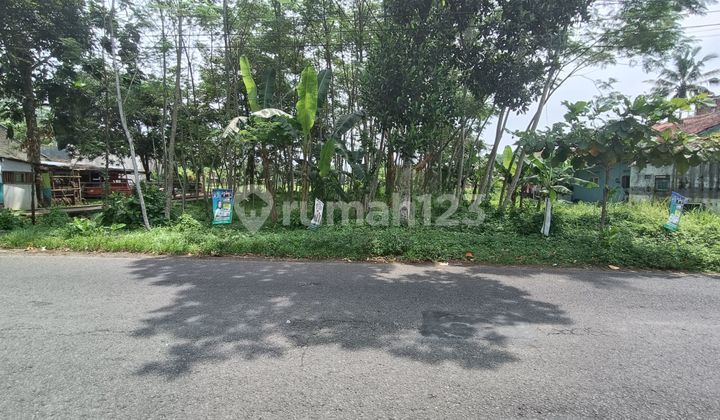 Tanah kosong pinggir jalan utama Tambaksari Kembaran dekat pasar Tambaksogra Tanah kosong pinggir jalan utama Tambaksari Kembaran dekat pasar Tambaksogra