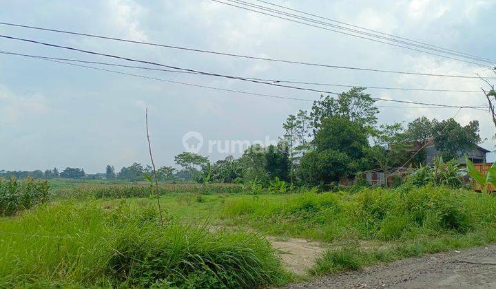 Tanah Kosong 2,1 Ha Sumbang Banyumas Dekat Pasar Tambaksogra, Tahu Sumedang 1