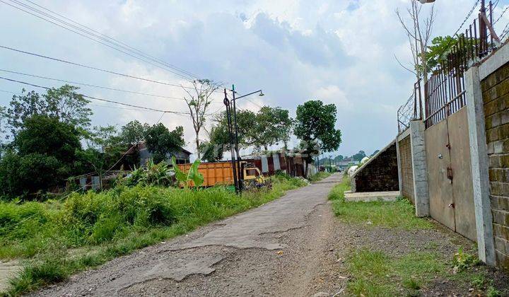 Tanah Kosong 2,1 Ha Sumbang Banyumas Dekat Pasar Tambaksogra, Tahu Sumedang 2