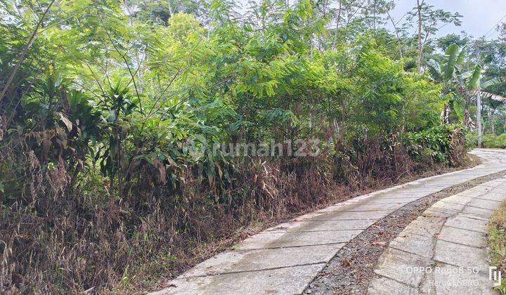 Tanah kosong 1,1 Ha Limpakuwus Sumbang Banyumas dekat wisata Baturaden 1