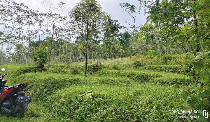 Tanah kosong 1,1 Ha Limpakuwus Sumbang Banyumas dekat wisata Baturaden 2