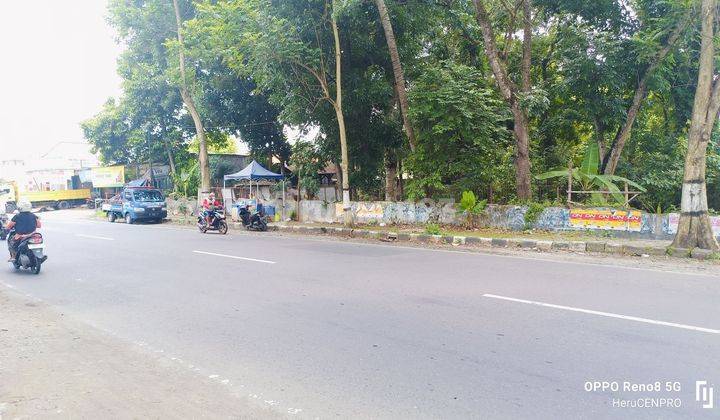 Tanah kosong strategis jln propinsi Kalimanah Purbalingga 2