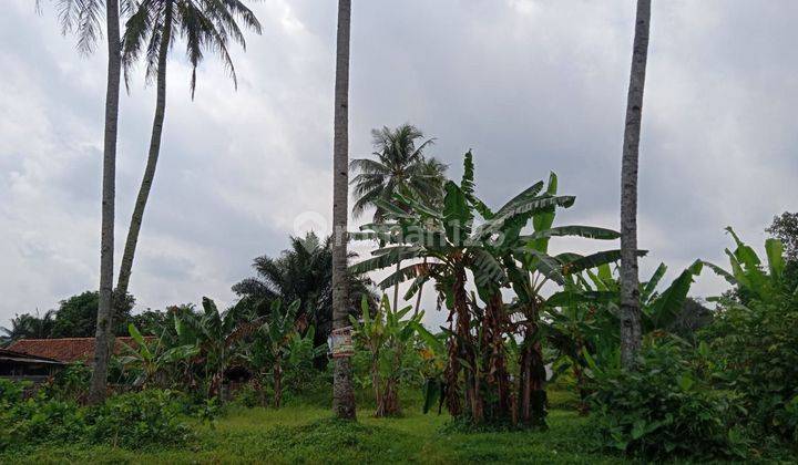 Tanah kosong strategis pinggir jln Langen Baturaden Purwokerto 2