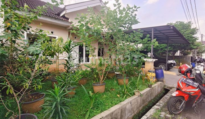 Rumah Perum Bai Dekat Gor, Kampus Unsoed Purwokerto 2
