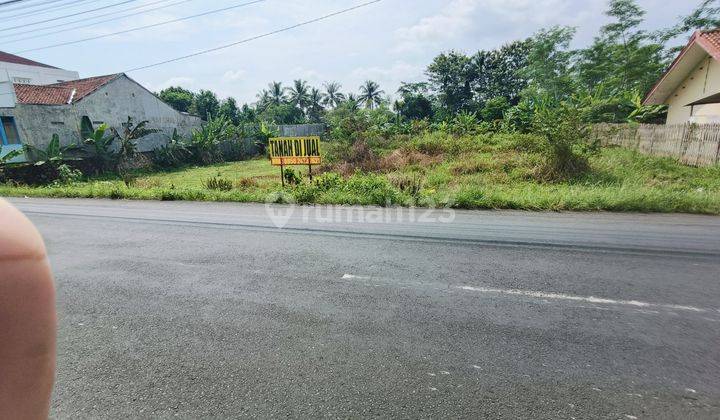 Tanah kavling asri pedesaan Lambur dekat pasar Bobotsari Purbalingga 2