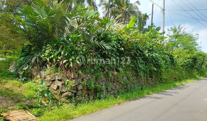 Tanah kebun durian nuansa pedesaan Sumbang Banyumas purwokerto 1