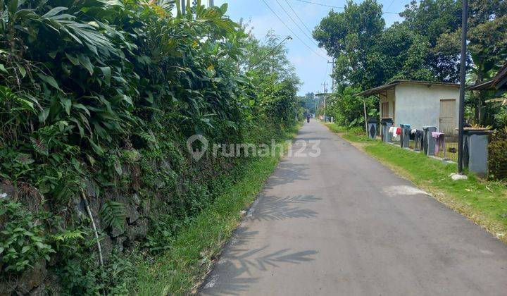 Tanah kebun durian nuansa pedesaan Sumbang Banyumas purwokerto 2