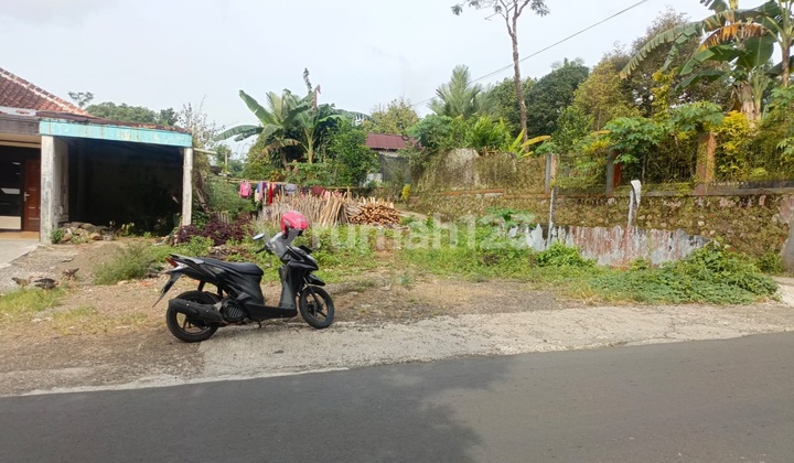 Empty Land with Rural Ambiance in Banteran Sumbang Purwokerto Empty Land with Rural Ambiance in Banteran Sumbang Purwokerto