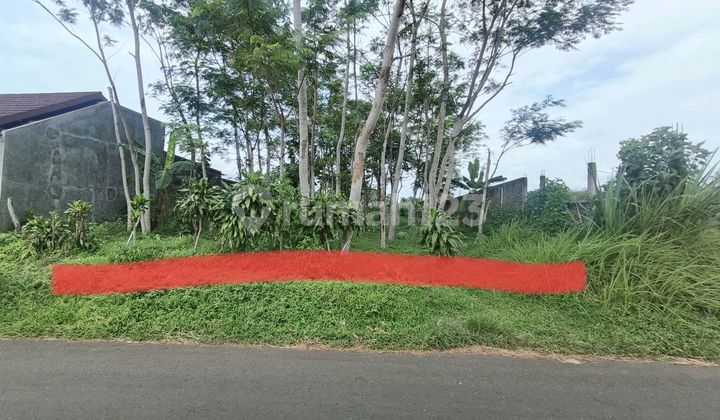 Vacant Land with View of Mount Slamet Karanggintung Purwokerto Vacant Land with View of Mount Slamet Karanggintung Purwokerto