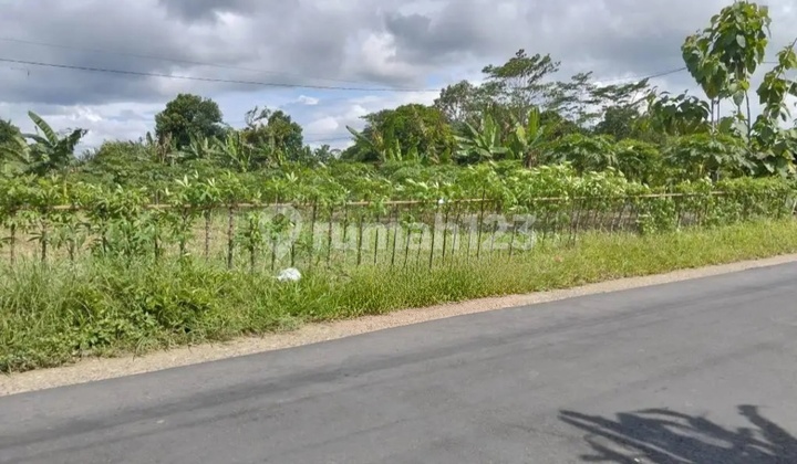 Tanah Kosong Strategis Sumbang Banyumas