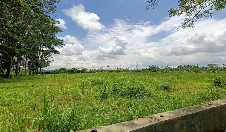 Tanah Kosong Jln Raya Kutawis Kejobong Purbalingga. 2