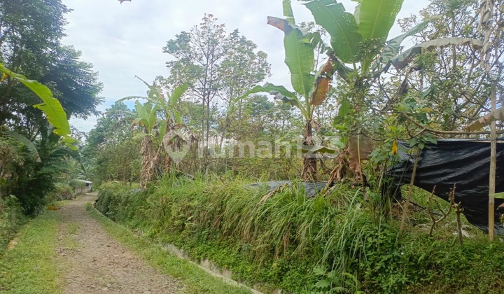Tanah Kebun Nuansa Pedesaan Limpakuwus Sumbang Banyumas