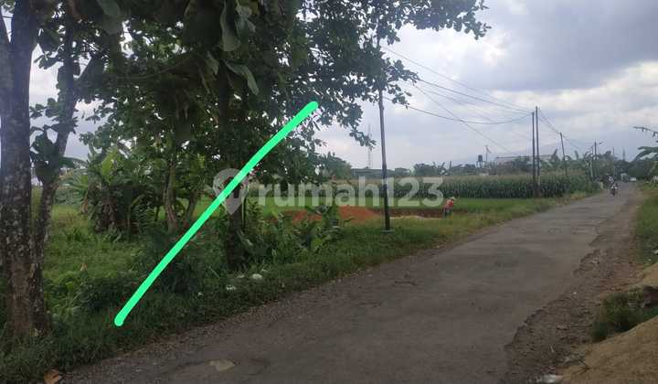 Tanah Kosong Sokaraja Dekat Rs Margono, Kampus Kedokteran Unsoed