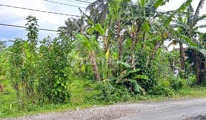 Tanah Kosong Toyareja Purbalingga Dekat Pabrik Victoria Tanah Kosong Toyareja Purbalingga Dekat Pabrik Victoria