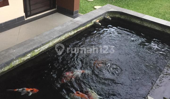 Rumah Hook Perum Rafles Baturaden Purwokerto 2