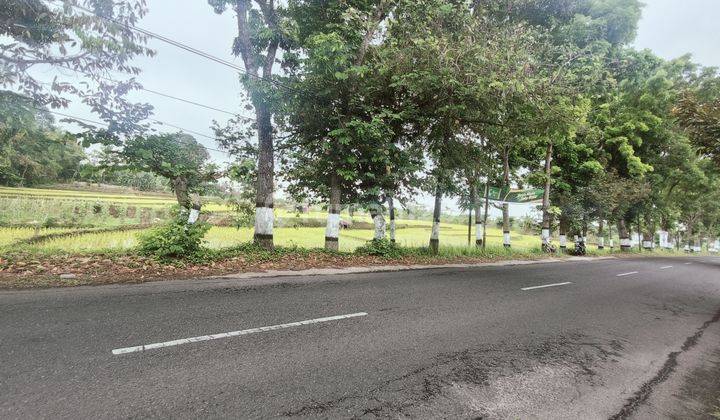 Tanah Kosong Strategis Pinggir Jln Baturaden Purwokerto 2