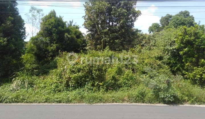 Tanah Kosong Strategis Jln Raya Baturaden Timur Sumbang Banyumas