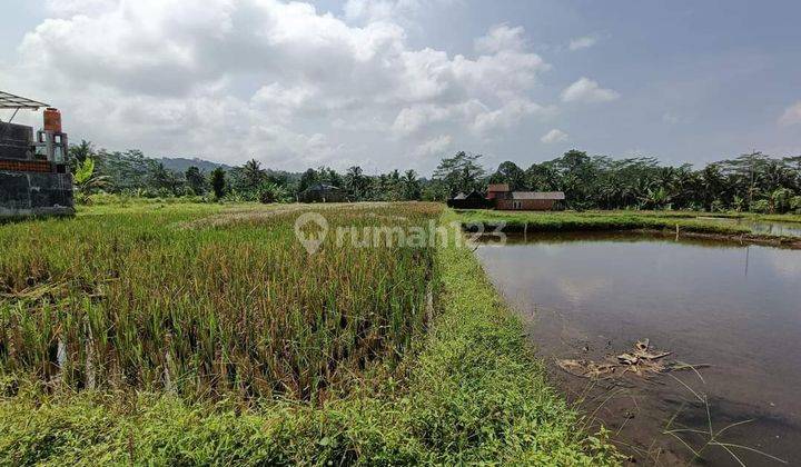 Tanah Kosong View Sawah, Asri Dekat Wisata, Al Irsyad boarding Baturaden Purwokerto 2