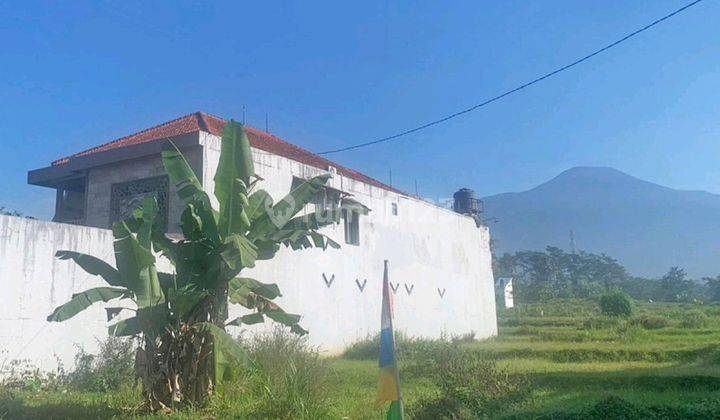 Rumah Rasa Villa View Gunung Karanggintung Purwokerto Dekat Kopi Keprok, Unsoed 2