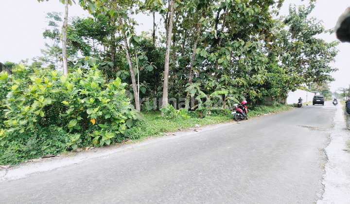 Tanah Kosong Karangrau Sokaraja Purwokerto