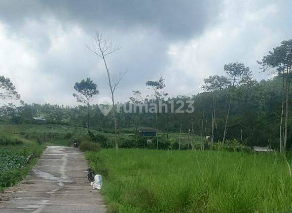 Tanah Kosong View Asri, Gunung Slamet Kompleks Wisata Pratin Purbalingga 1