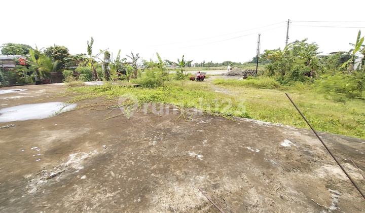 Tanah Kosong View Sawah Kembaran Dekat Kampus Ump Purwokerto Tanah Kosong View Sawah Kembaran Dekat Kampus Ump Purwokerto