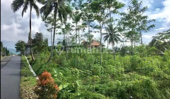 Vacant Land in Baturaden Tourism Complex, Purwokerto