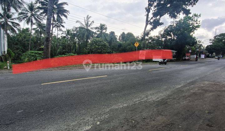 Tanah Kosong Untuk Gudang Jln Raya Cilongok Purwokerto 1