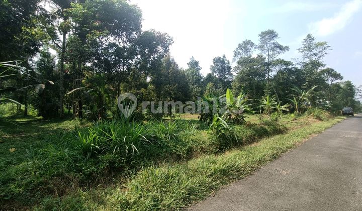 Tanah Kebun Nuansa Pedesaan Sumbang Banyumas