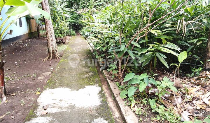 Tanah Kebun Dekat Pasar Karanganyar Purbalingga