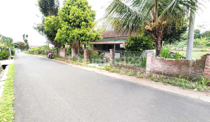 Tanah Kosong Kebun Nuansa Pedesaan Sumbang Dekat Karanggintung Purwokerto Tanah Kosong Kebun Nuansa Pedesaan Sumbang Dekat Karanggintung Purwokerto