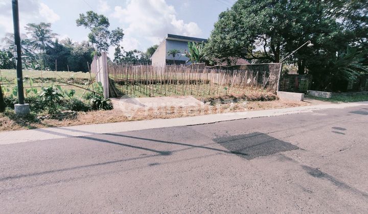 Vacant Land Jln Raya Banteran Sumbang Banyumas Vacant Land Jln Raya Banteran Sumbang Banyumas