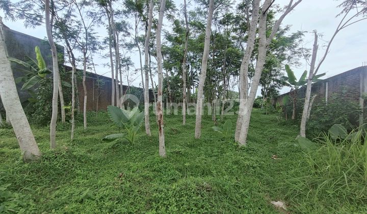 Vacant Land with View of Mount Slamet Karanggintung Purwokerto Vacant Land with View of Mount Slamet Karanggintung Purwokerto
