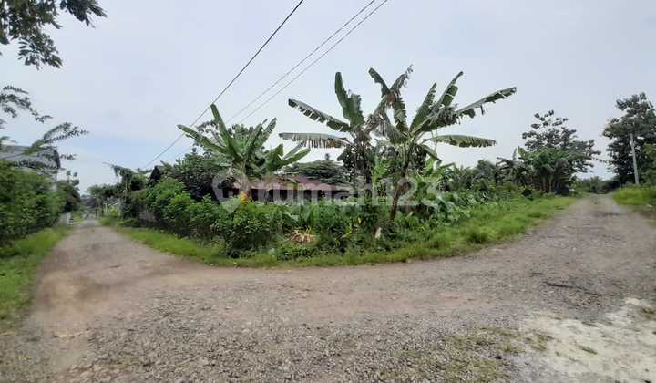 Tanah Kosong Hook Dekat Kampus Unwiku Karangsalam Purwokerto