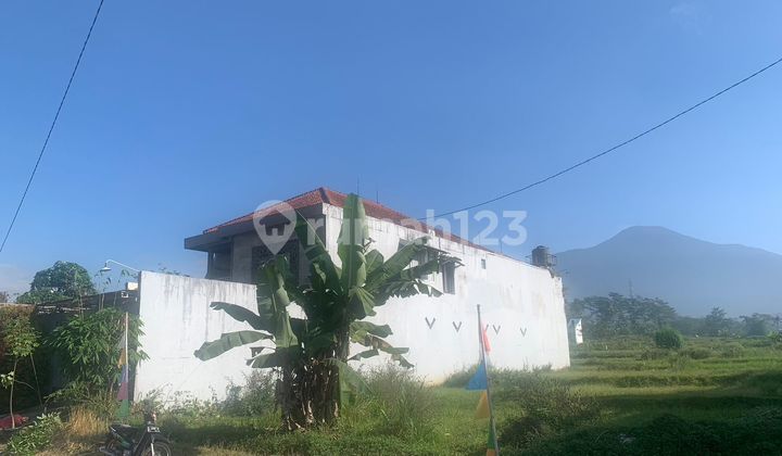 Rumah Rasa Villa View Gunung Slamet Karanggintung Purwokerto 2