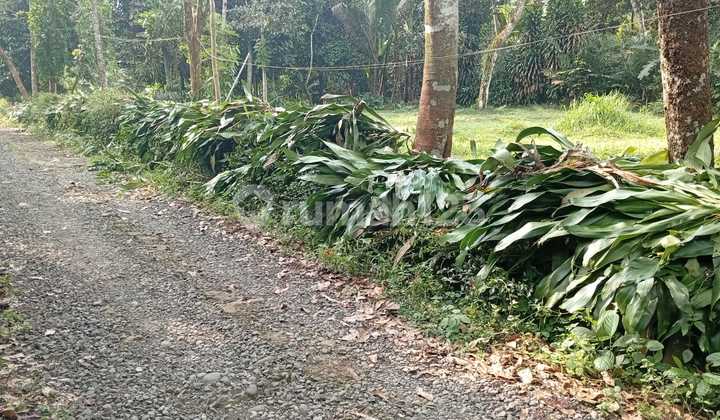 Tanah Kosong Nuansa Pedesaan Dekat Smk Kutasari Purbalingga