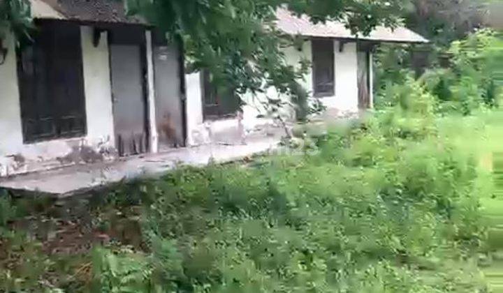 DIJUAL SUPER NEGO TANAH BERPAGAR KELILING DI JALAN RAYA PAHLAWAN, GEDONGOMBO, TUBAN