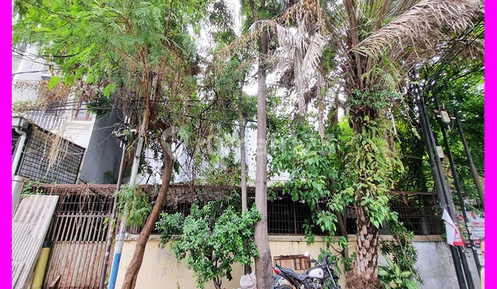 Dhyana Rumah lama luas tanah 208m2 di jelambar