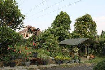 Rumah Murah Hitung Tanah Sayap Ciumbuleuit Full View Lembah Dan City 2