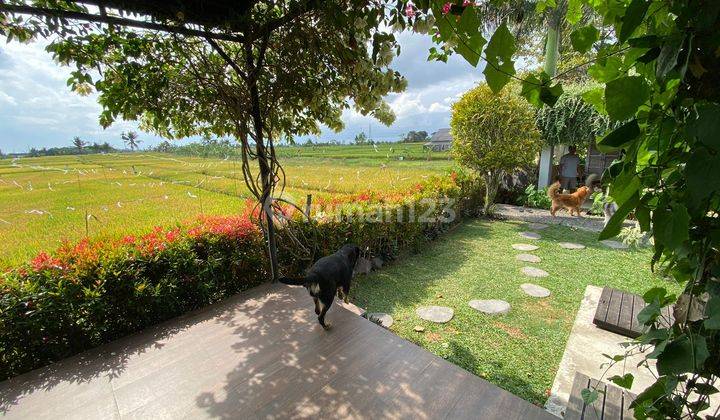 Villa Kaba Kaba Tabanan Bali View Rice Fields and Sunset 2